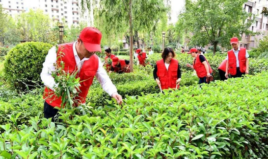 jxf吉祥坊(中国)官方网站
